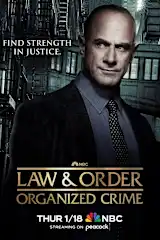 TV Series Poster