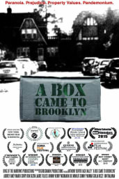 A Box Came To Brooklyn