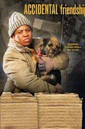 Accidental Friendship