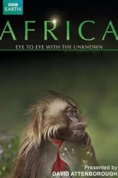 Africa (2013) - Season 01