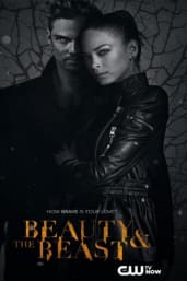 Watch Beauty and the Beast Season 2 in 1080p on Soap2day