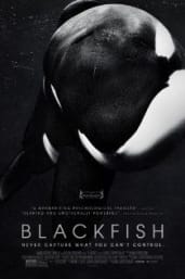 Blackfish