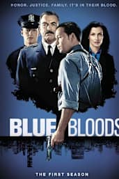 Blue Bloods - Season 1