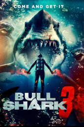 Bull Shark 3