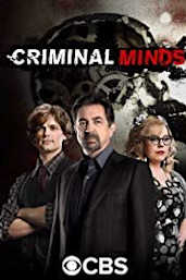 Criminal Minds - Season 14