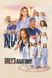 Grey's Anatomy - Season 22