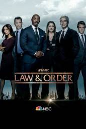 Law and order season 13 watch online free new arrivals