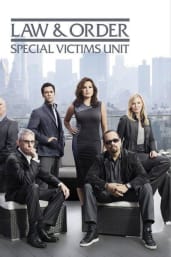 Watch hot sale svu online