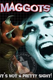 Maggots