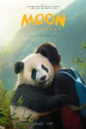 Moon The Panda