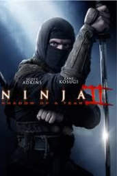 Ninja: Shadow Of A Tear