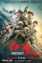 Operation Red Sea