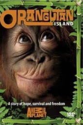 Orangutan Island - Season 1
