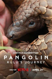 Pangolin: Kulu's Journey