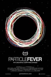 Particle Fever