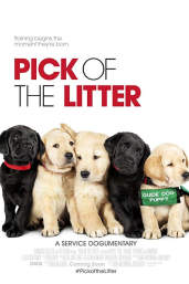 Pick Of The Litter