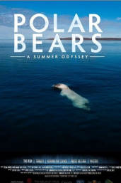 Polar Bears: A Summer Odyssey
