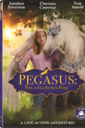 Pony With A Broken Wing