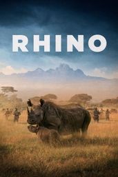 Rhino