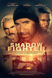 Shadow Fighter