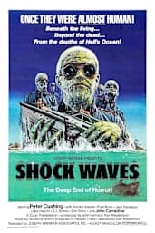 Shock Waves
