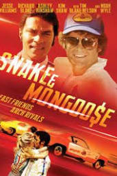 Snake And Mongoose
