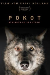 Spoor