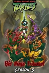 Teenage Mutant Ninja Turtles - Season 05