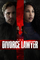 The Divorce Lawyer