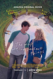 The Map of Tiny Perfect Things