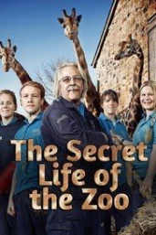 The Secret Life of The Zoo - Season 5