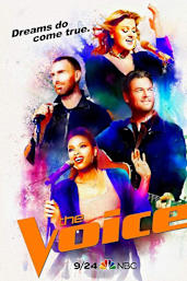 Watch the voice us best sale online free