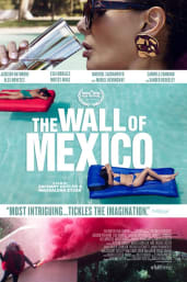 The Wall of Mexico
