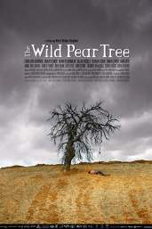 The Wild Pear Tree