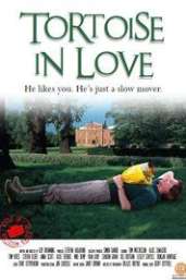 Tortoise in Love