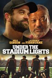 Under the Stadium Lights