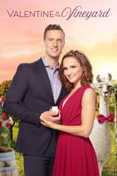Valentine in the Vineyard