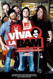 Viva La Bam - Season 01