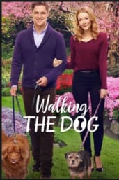Walking the Dog