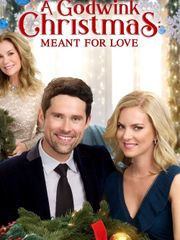 A Godwink Christmas: Meant For Love