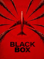 Black Box (Flight 298)