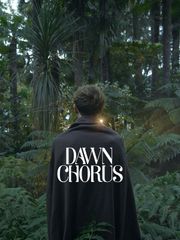 Dawn Chorus