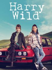 Harry Wild - Season 5