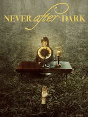 Never After Dark