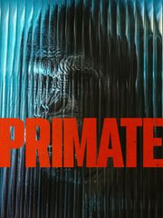 Primate