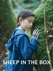 Sheep in the Box