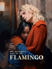 The Mysterious Gaze of the Flamingo