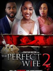 The Perfect Wife 2