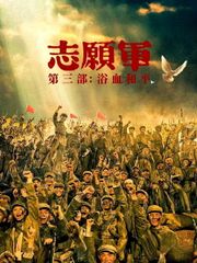 The Volunteers: Peace at Last