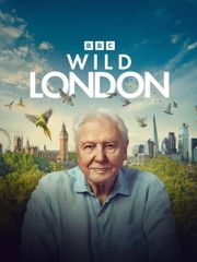 Wild London